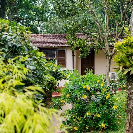 Casa Do Lenhador Villa Petropolis  Ngoại thất bức ảnh
